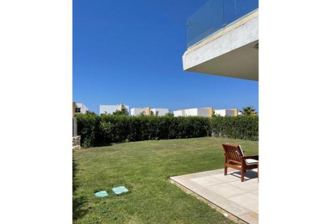 8002451 - Property Image 3