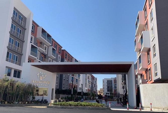 7255026 - Property Image 3