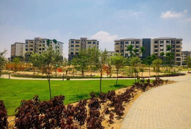 8050454 - صورة العقار 3