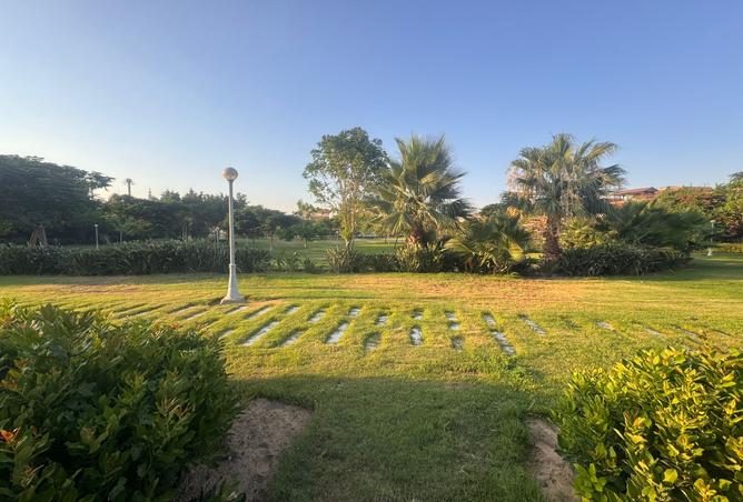 7971639 - صورة العقار 2