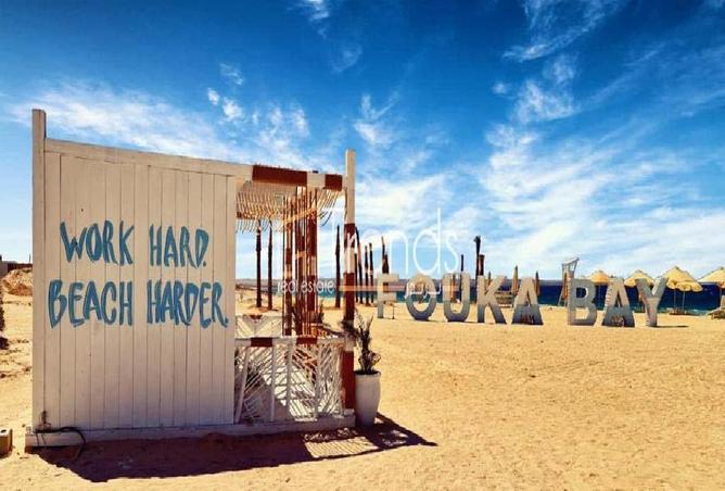 7922875 - Property Image 3