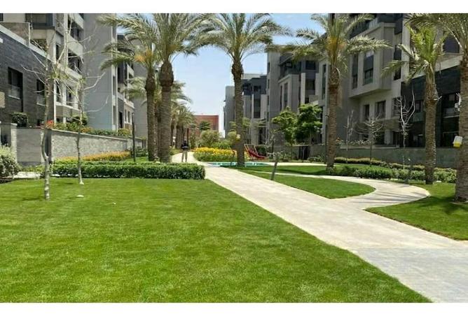 8165569 - صورة العقار 2