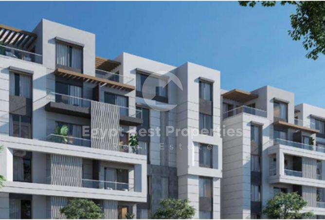 8045460 - Property Image 3