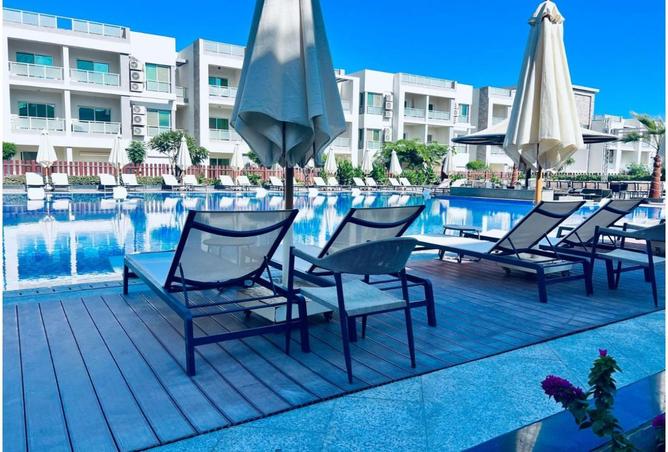 8150248 - Property Image 2