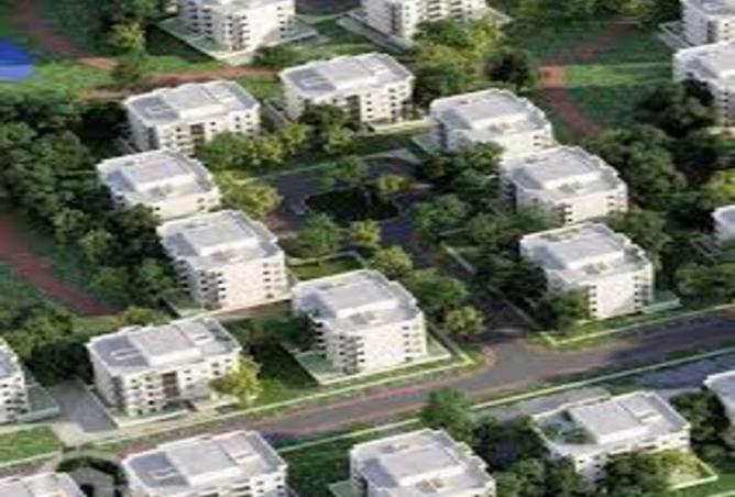 8120398 - Property Image 3