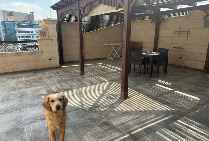 8477196 - Property Image 3