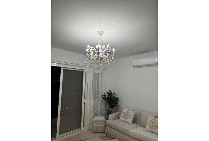 8387790 - Property Image 2