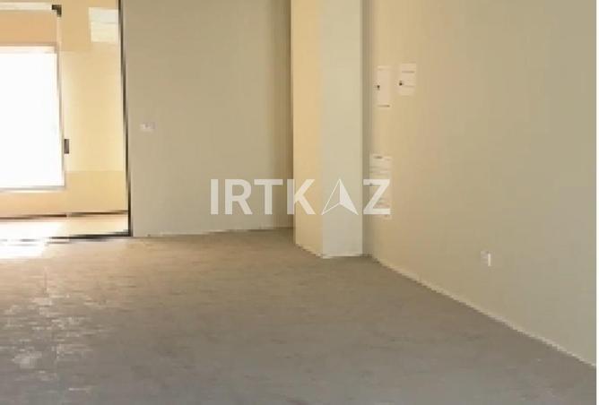 8081980 - Property Image 3