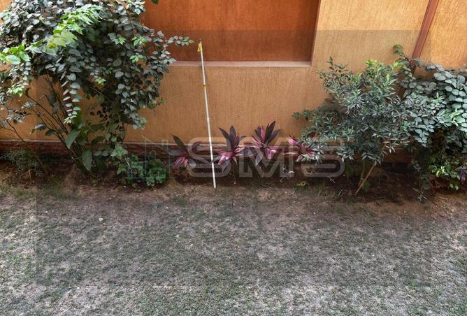 7872992 - صورة العقار 3