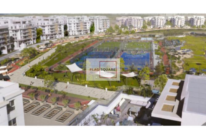 8034463 - Property Image 3