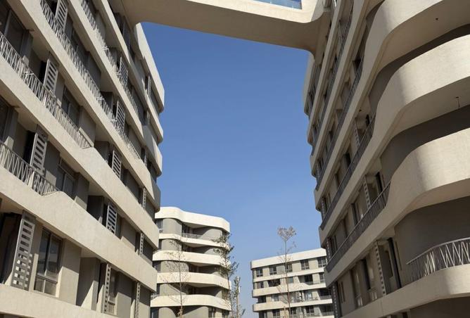 8272054 - صورة العقار 2