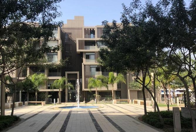 8237554 - Property Image 2