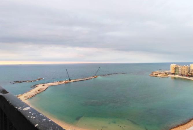 8253288 - الصورة الرئيسية للعقار