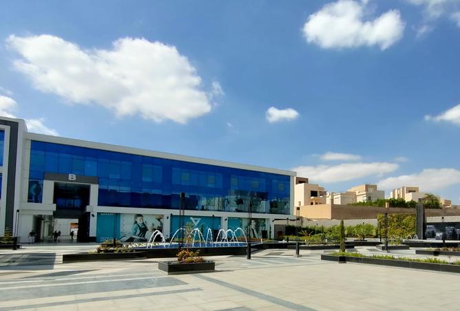 7981328 - صورة العقار 3