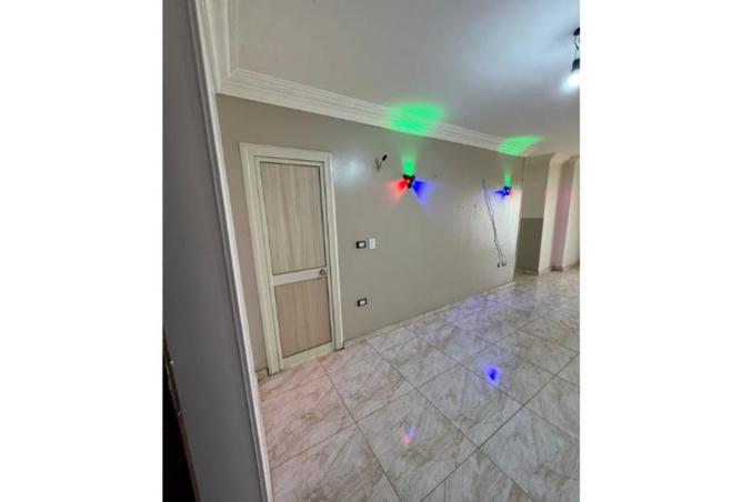 8441279 - Property Image 3