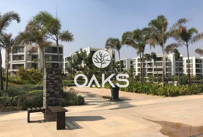 8151734 - صورة العقار 3