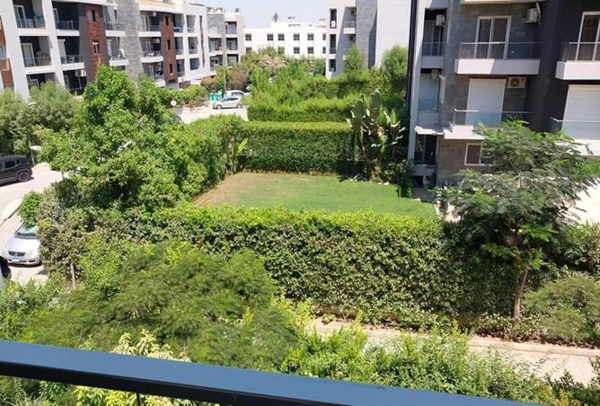 8529233 - Property Image 3