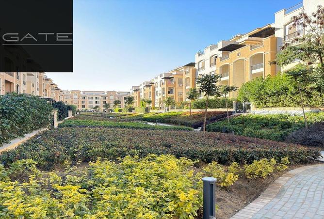 8172795 - صورة العقار 2