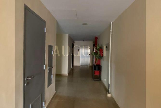 8136873 - Property Image 3