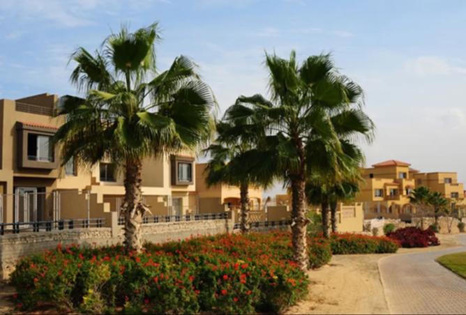 8426785 - Property Image 3