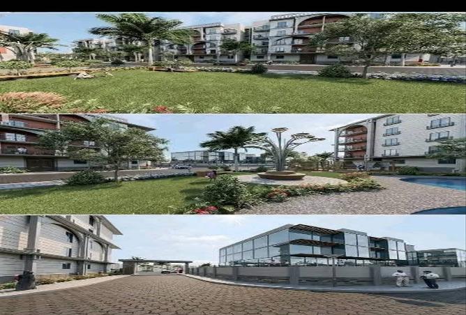 8047746 - Property Image 2