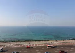 Apartment - 3 Bedrooms - 3 Bathrooms for sale in Mohamed Shafik Ghorbal St. - Camp Chezar - Hay Wasat - Alexandria