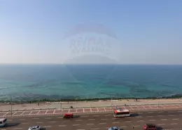 شقة - 3 غرف نوم - 3 حمامات للبيع في شارع محمد شفيق غربال - كامب شيزار - حي وسط - الاسكندرية