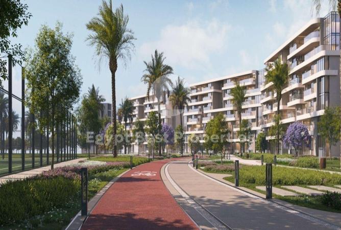 8429557 - Property Image 3