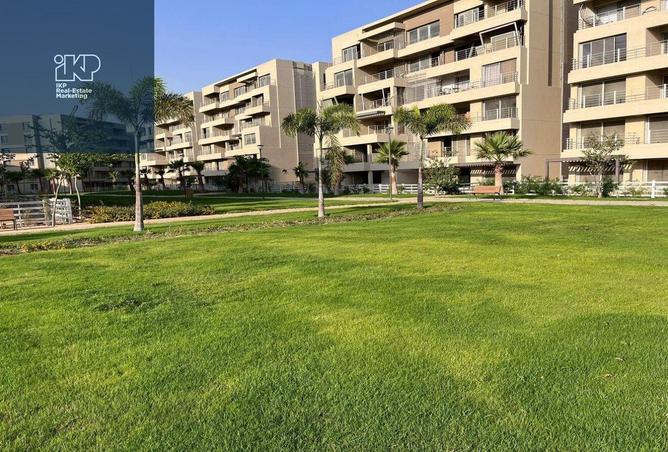 8044654 - Property Image 3