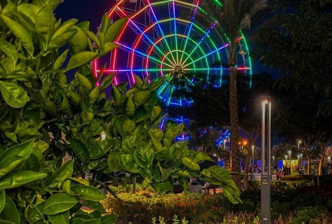 8236037 - صورة العقار 2