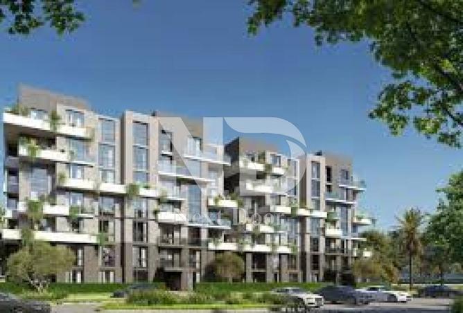 8418367 - Property Image 3