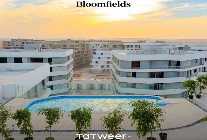 8274471 - صورة العقار 2