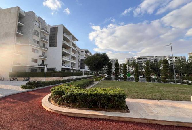 7980657 - Property Image 2