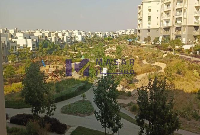 8035763 - صورة العقار 2