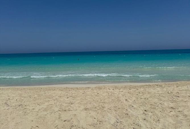 8503137 - صورة العقار 3