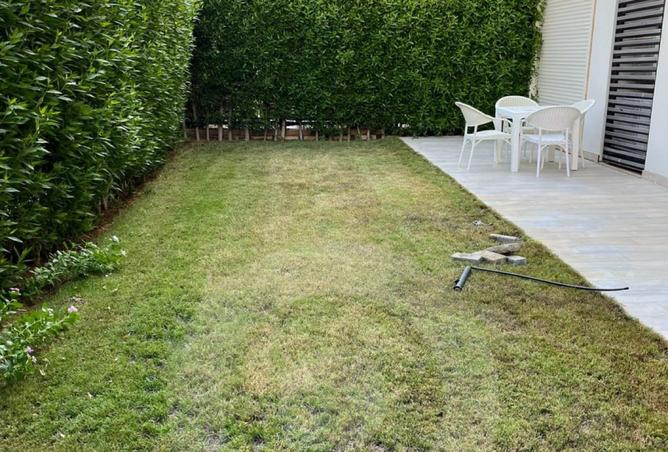 8434372 - Property Image 3