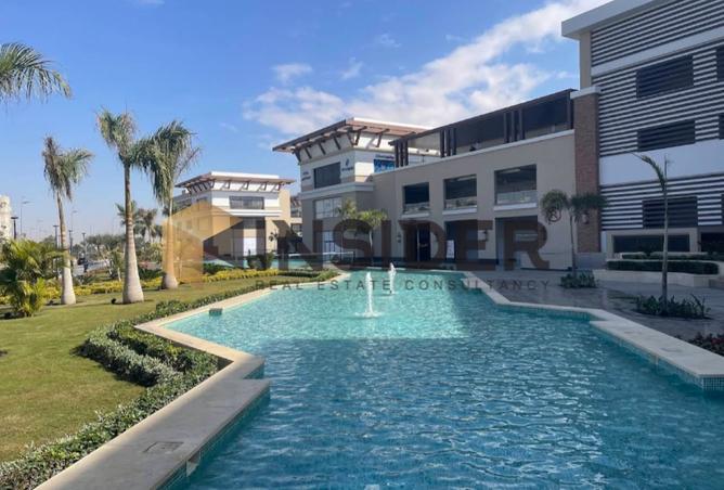 8237895 - Property Image 3