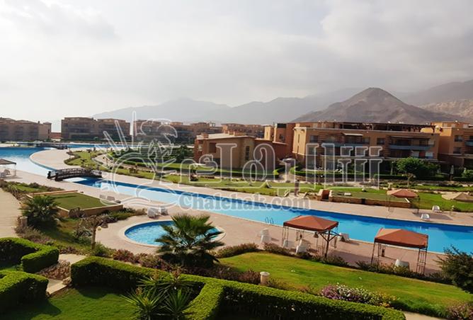 8202155 - Property Image 3