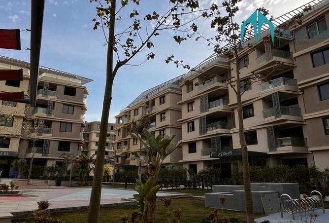 8359923 - Property Image 3