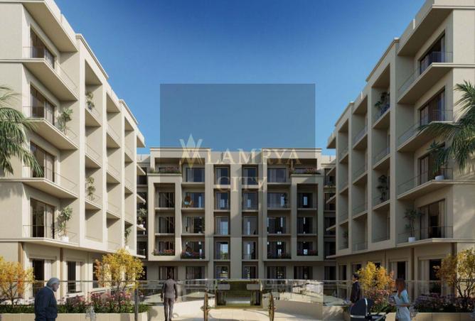 8429591 - Property Image 3