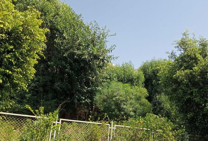 8225956 - الصورة الرئيسية للعقار