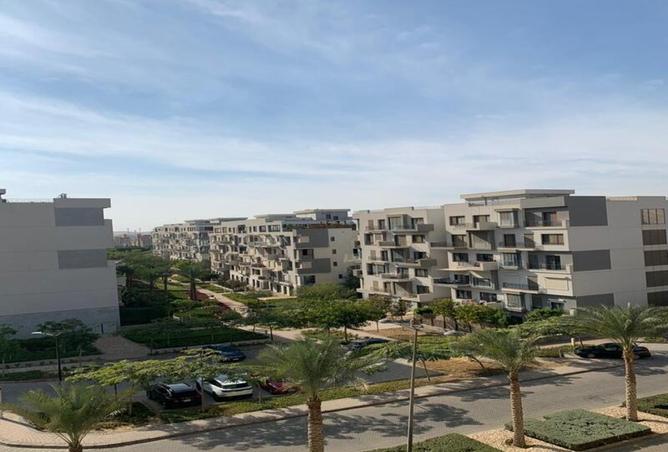 7997378 - Property Image 3