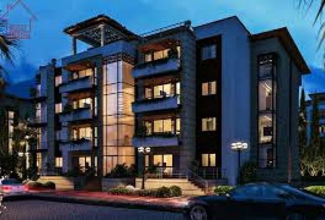 8049537 - Property Image 3