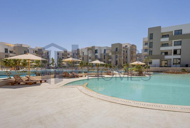 8384454 - Property Image 2