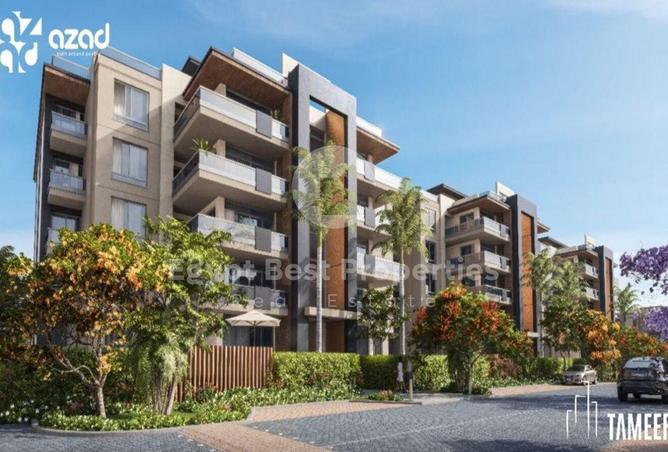 8132529 - Property Image 3