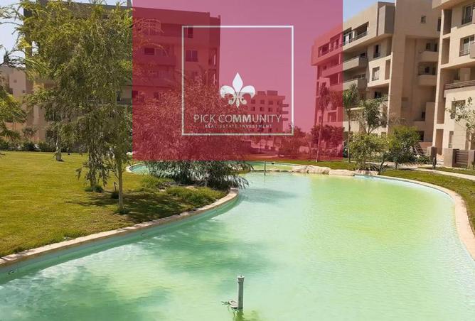 8295662 - Property Image 2