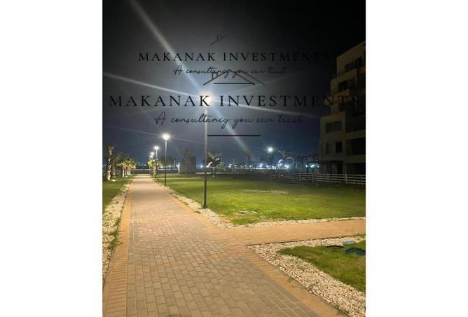 7962682 - صورة العقار 3