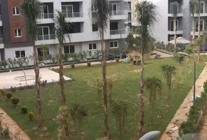 8091727 - صورة العقار 3
