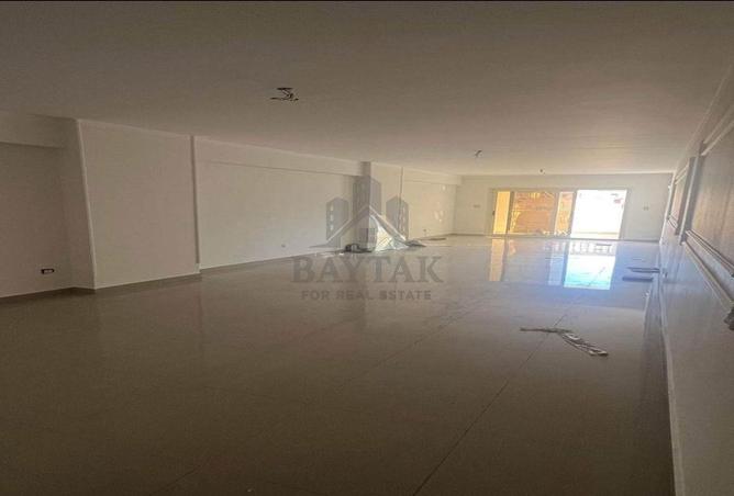 8036009 - Property Image 2