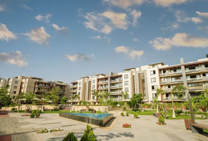 8475082 - Property Image 3